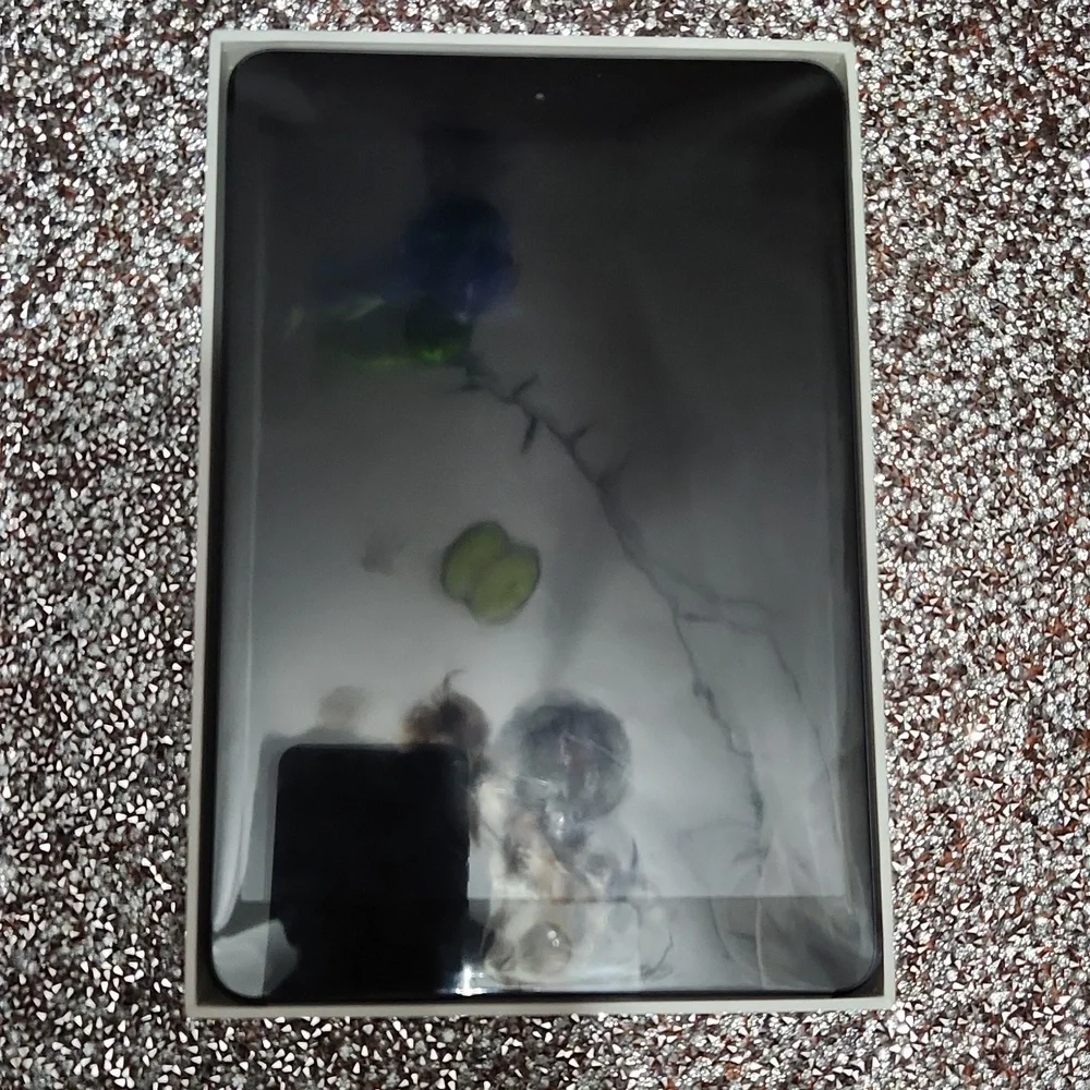 Apple I-Pad Mini WiFi 16GB black